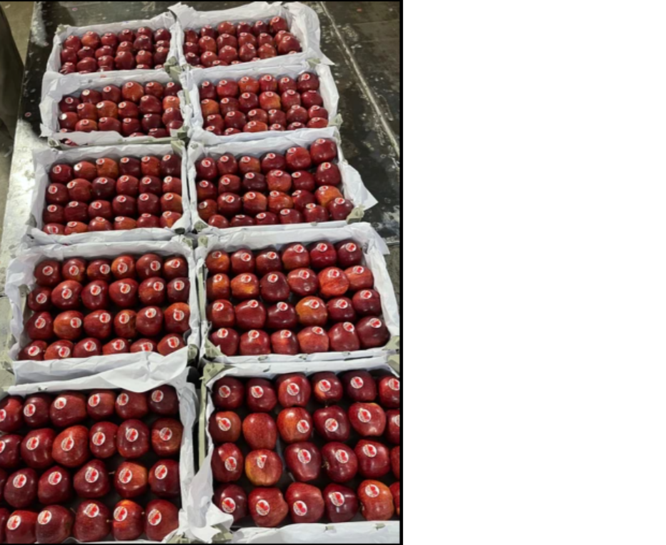 Apple Packaging