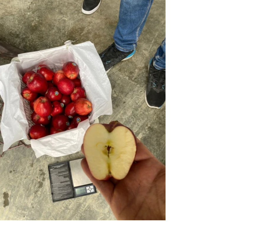 Fresh Apple