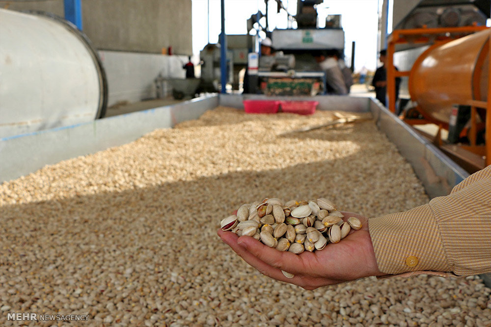 Pistachio Overview