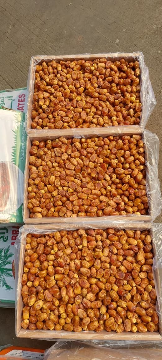 Zahidi Dates