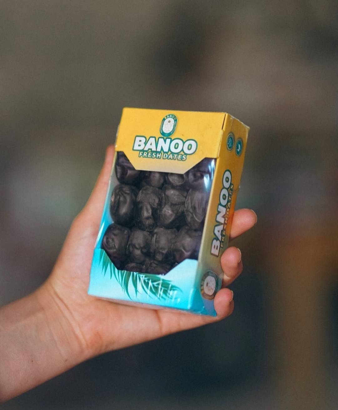 Mazafati Dates Packaging 1